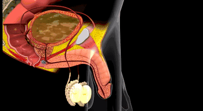 1755054563521993.gif 1755054563521993.gif